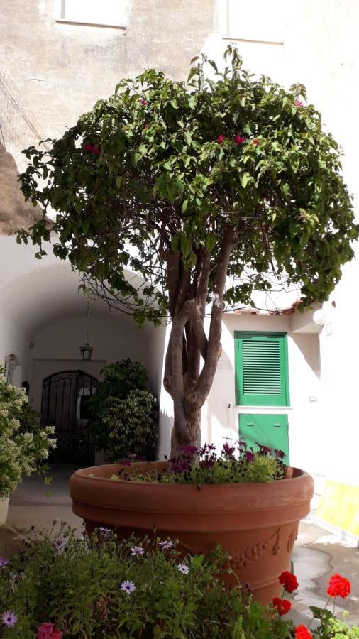 Civico13 Capri Hotell Eksteriør bilde